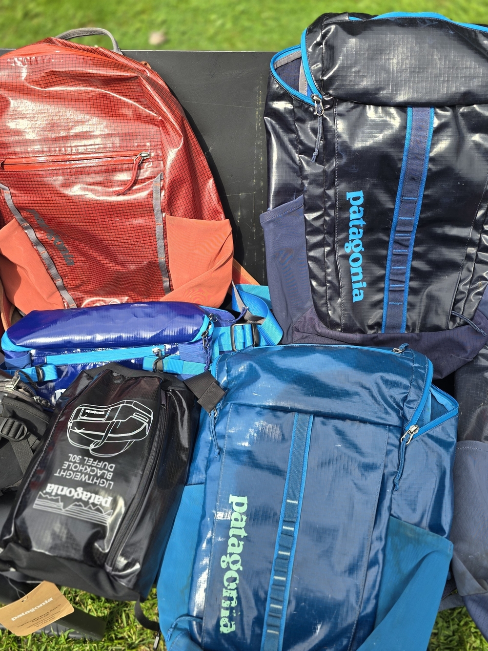 Patagonia Blue Roll-Top Backpack - Lightweight Men’s Pack Black Hole